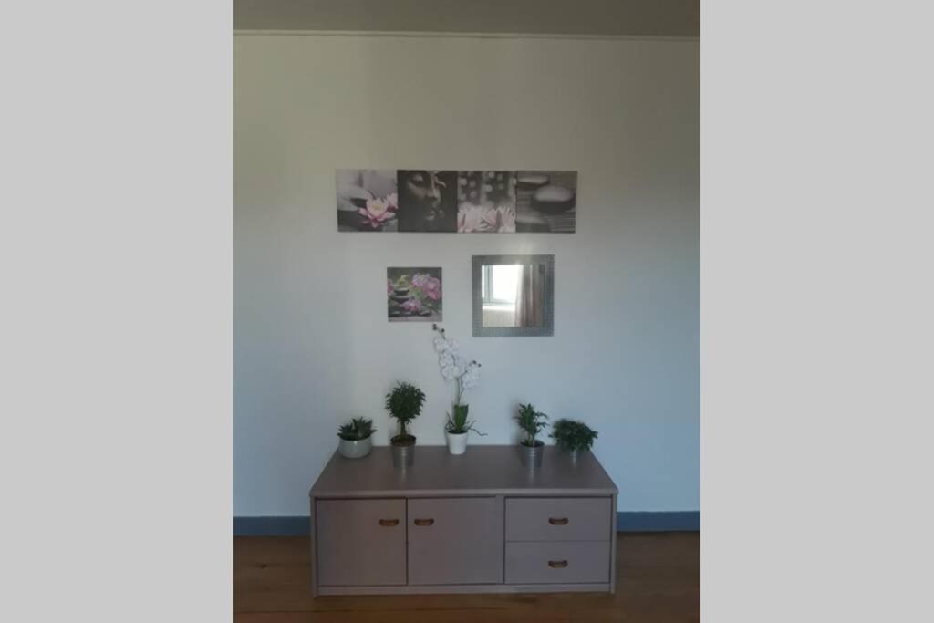 Appartement Chaleureux De 82M2 Proche De Vulcania Pontaumur Exterior foto